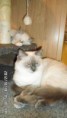 /album/fotogalerie-3-elizabeth/a62-dni-034-jpg/